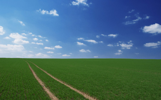 588393 (a): :1920x1200